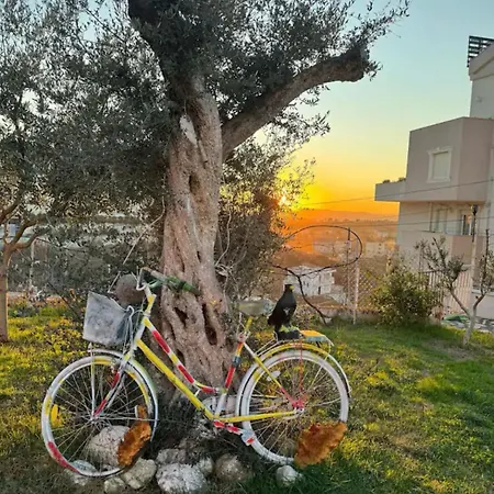 Nikol * تيرانا